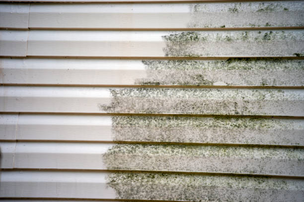 Best Weatherproofing and Sealing  in Cedar Bluff, AL