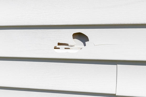 Trusted Cedar Bluff, AL Siding Installation & Repair Experts