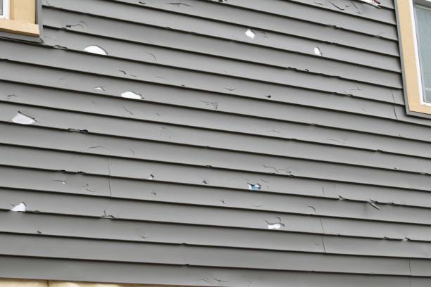Best Steel Siding Installation  in Cedar Bluff, AL