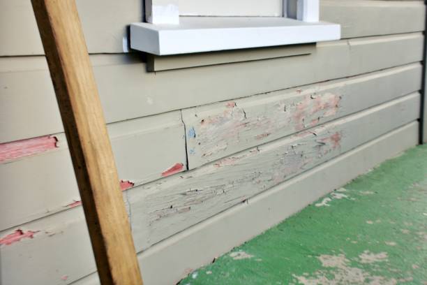 Best Custom Trim and Detailing for Siding  in Cedar Bluff, AL