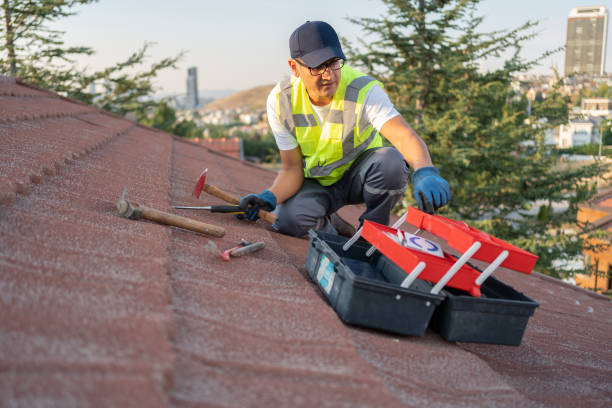 Best Storm Damage Siding Repair  in Cedar Bluff, AL